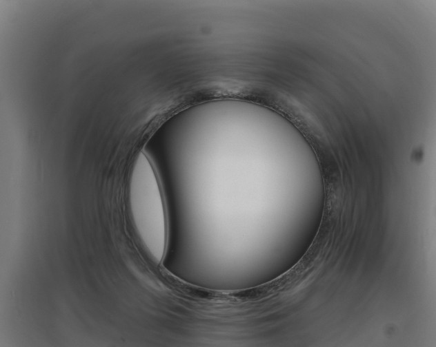 X0000097590215200802290756