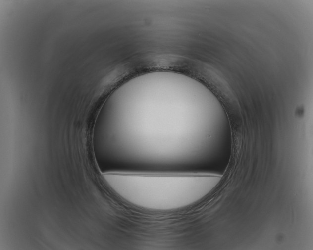 X0000097590216200802290756