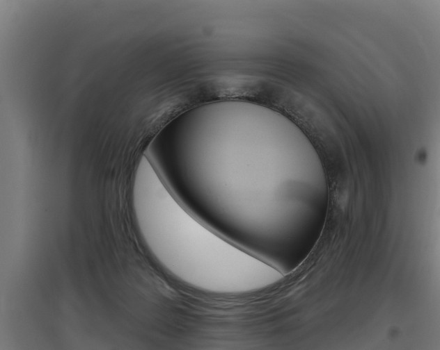 X0000097590219200802290756