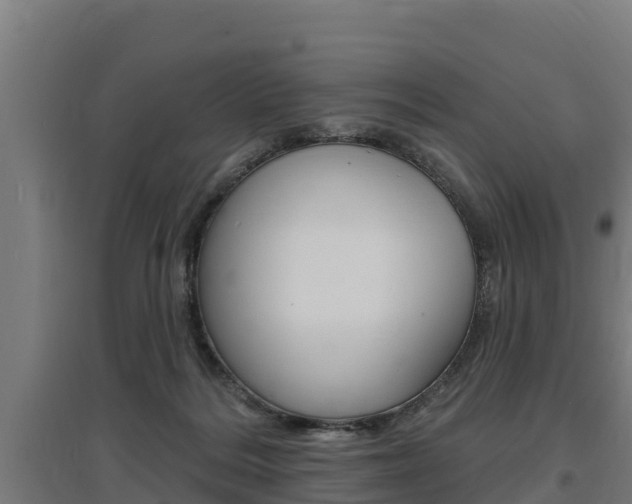 X0000097590220200802290756