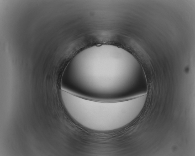 X0000097590221200802290756