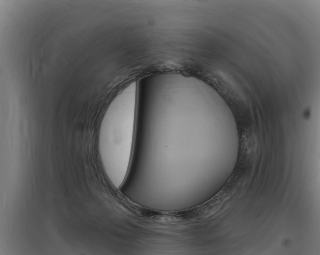 X0000097590223200802290756