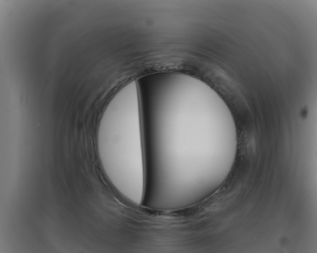 X0000097590224200802290756