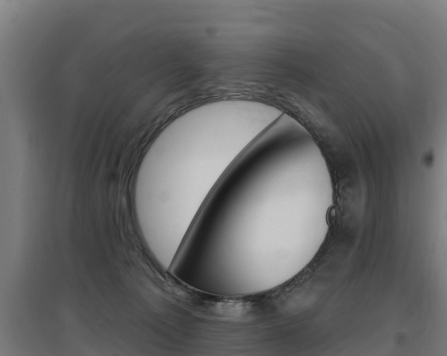 X0000097590225200802290756