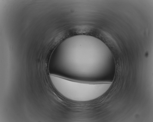 X0000097590227200802290756