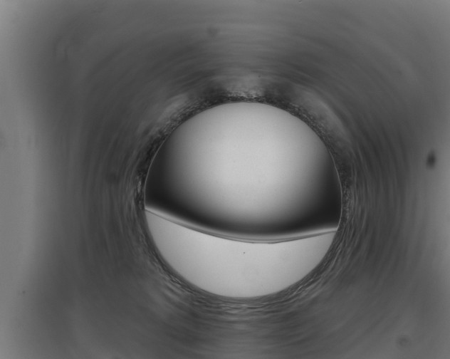 X0000097590229200802290756