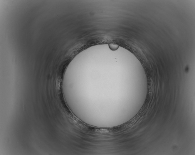X0000097590230200802290756