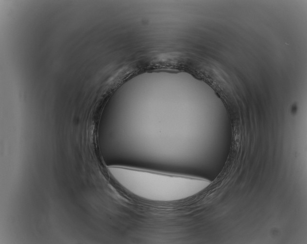 X0000097590231200802290756