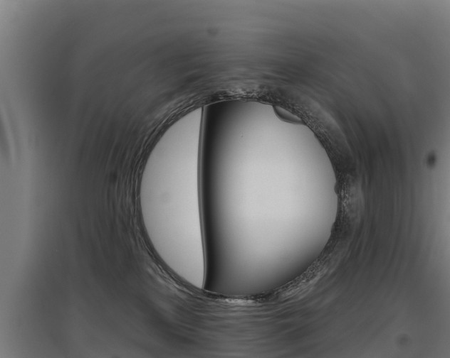 X0000097590233200802290756
