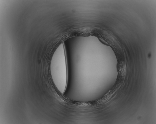 X0000097590235200802290756