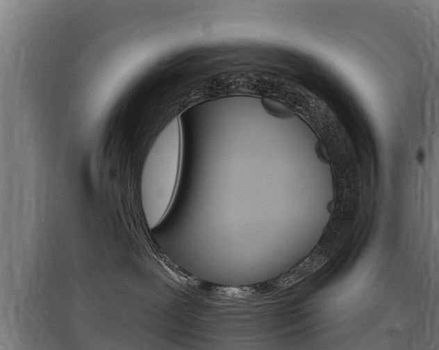 X0000097590239200802290756