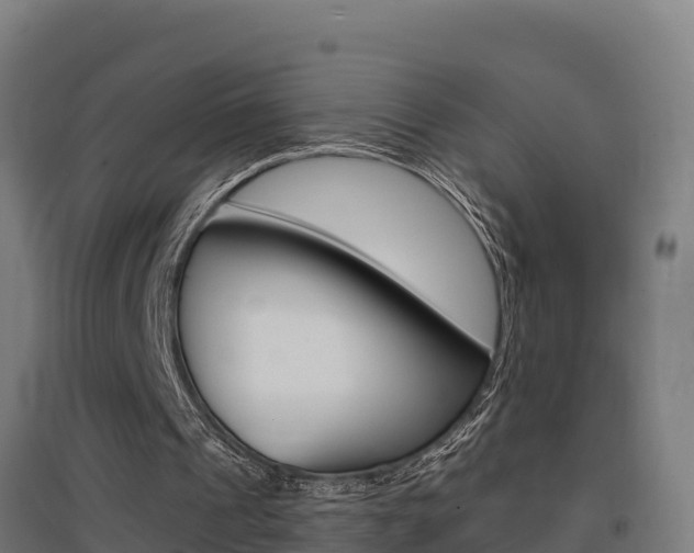 X0000097590241200802290755