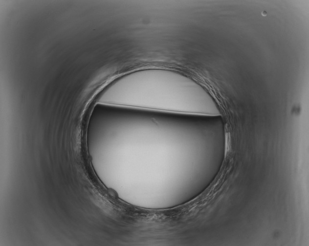 X0000097590243200802290755