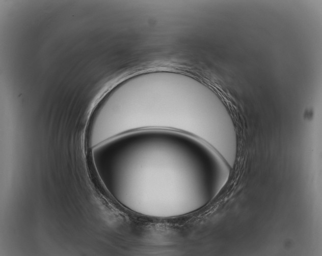 X0000097590244200802290755