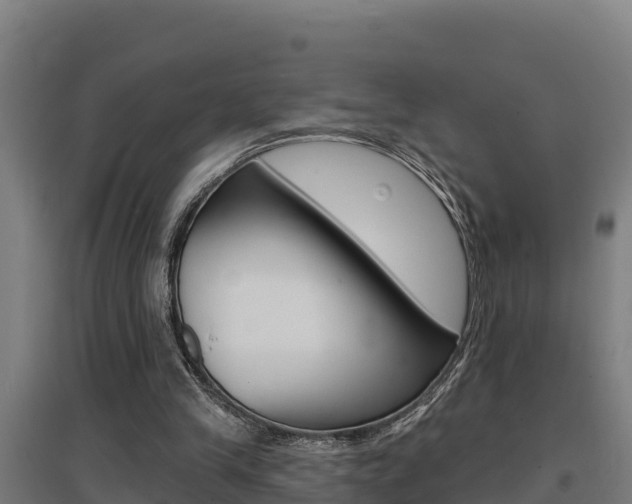 X0000097590245200802290755