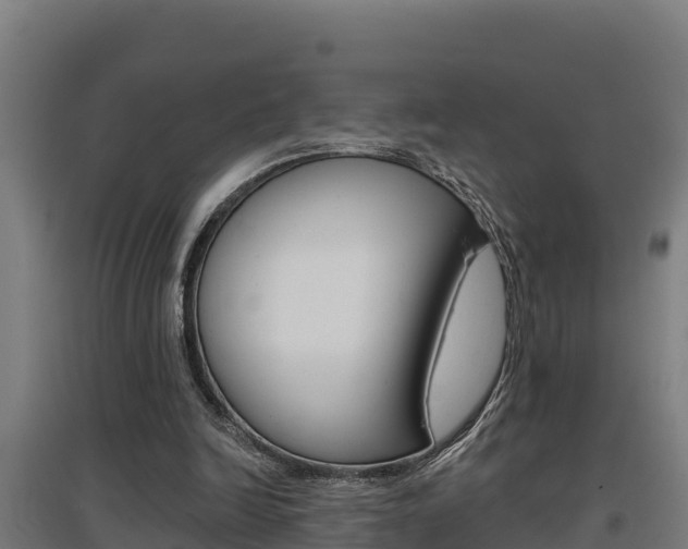 X0000097590246200802290755