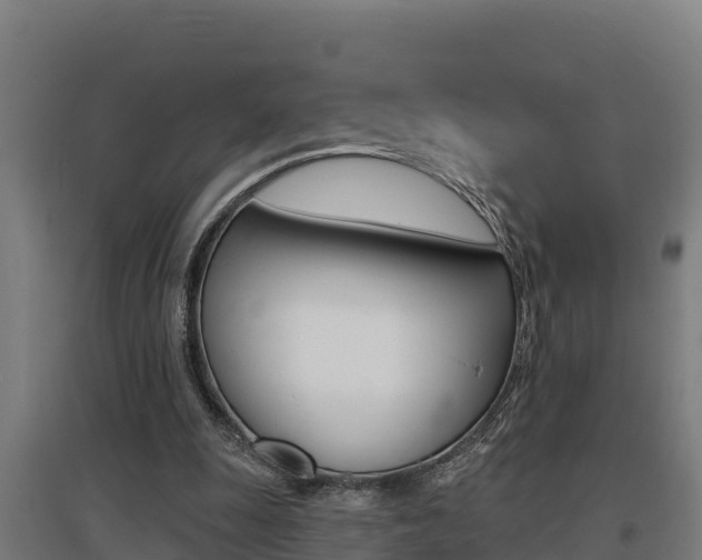 X0000097590247200802290755