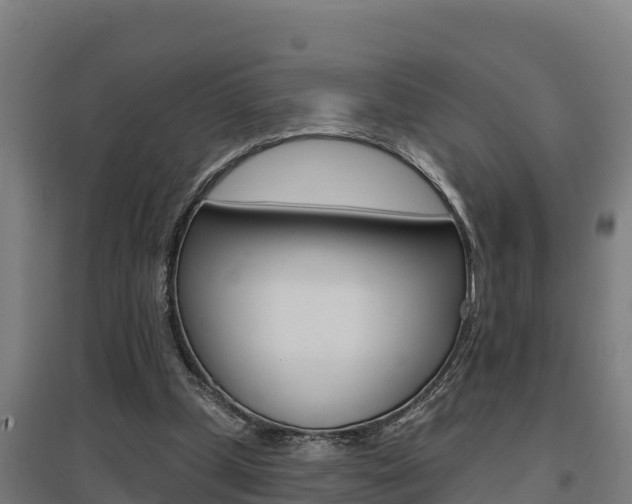 X0000097590249200802290755