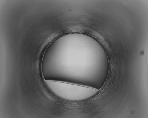 X0000097590250200802290755