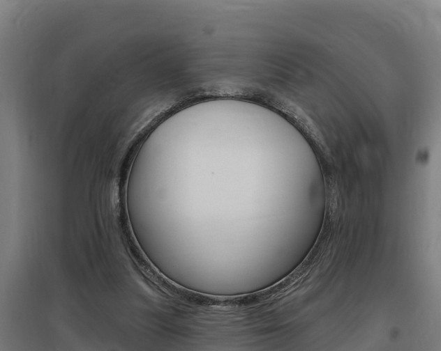 X0000097590251200802290755
