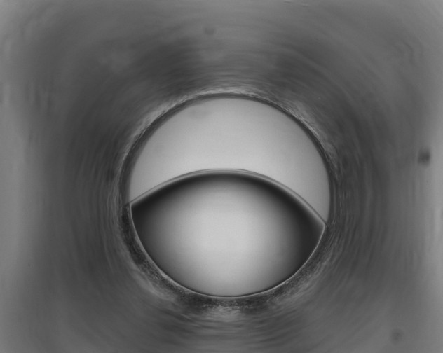 X0000097590252200802290755