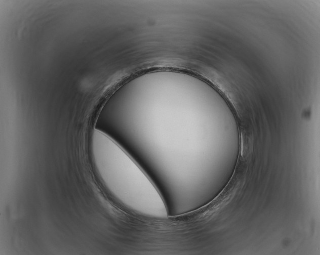 X0000097590253200802290755