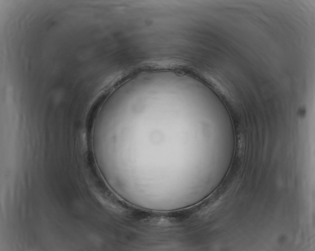 X0000097590254200802290755