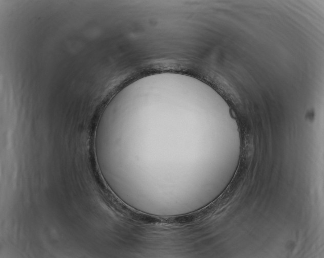 X0000097590255200802290755