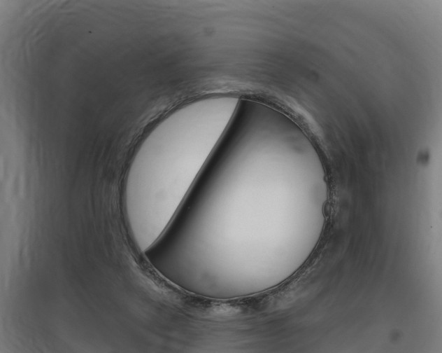 X0000097590257200802290755
