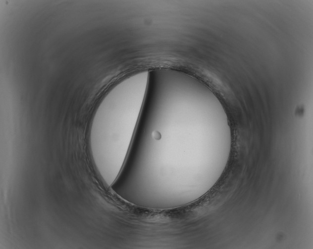 X0000097590258200802290755
