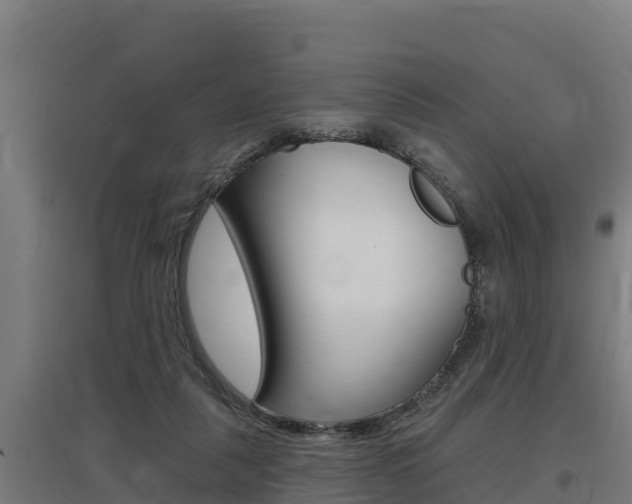 X0000097590259200802290755
