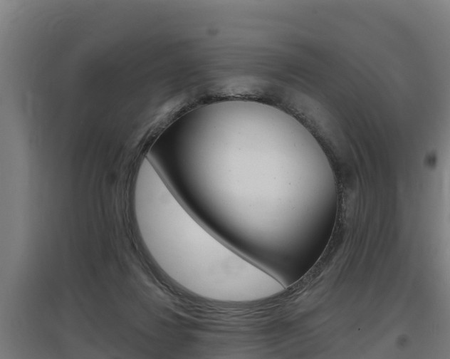 X0000097590260200802290755
