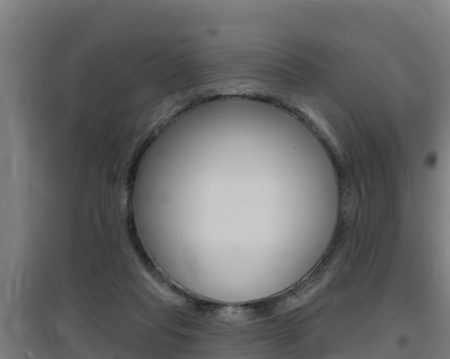 X0000097590261200802290755