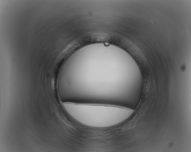 X0000097590262200802290755