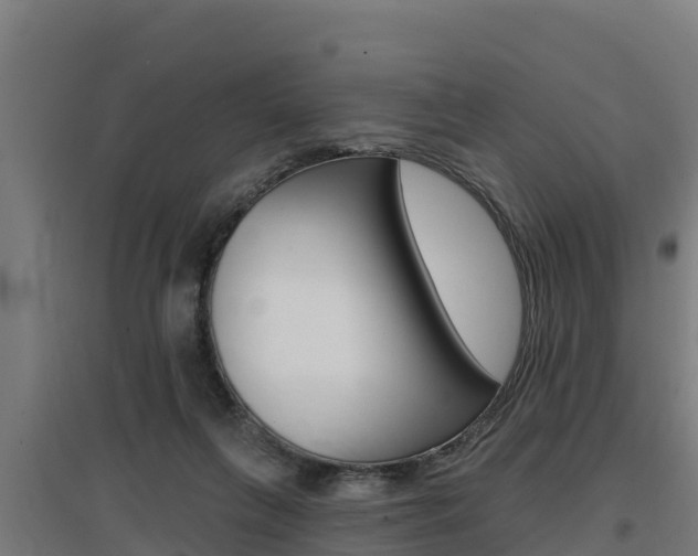 X0000097590263200802290755