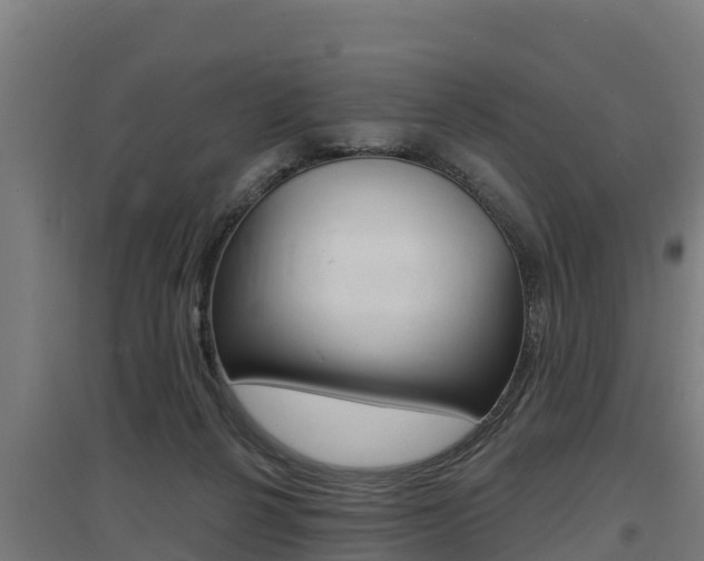 X0000097590264200802290755