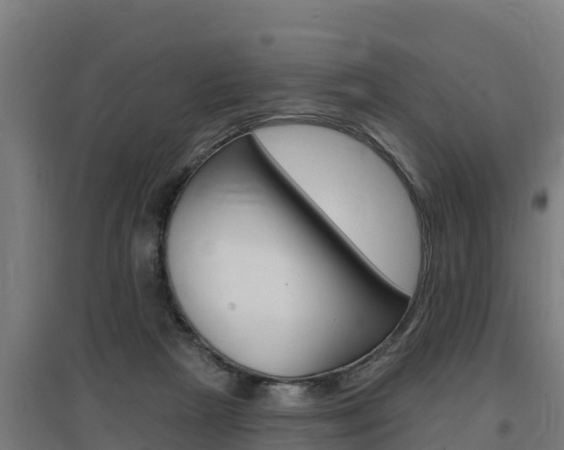 X0000097590265200802290755