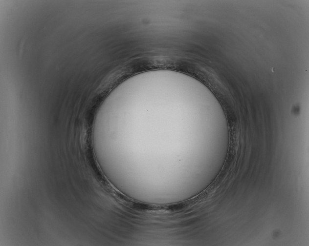 X0000097590266200802290755