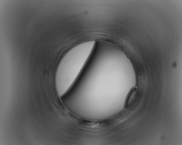 X0000097590267200802290756