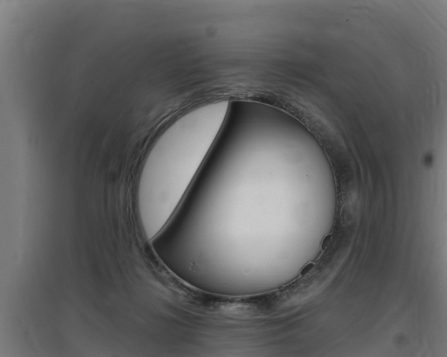 X0000097590268200802290756