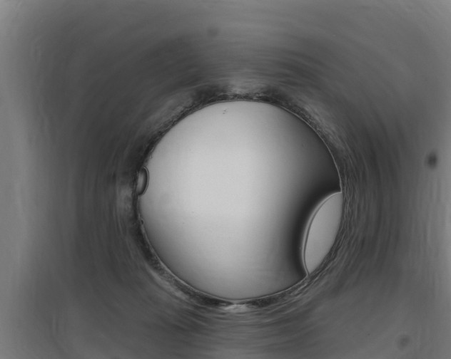 X0000097590269200802290756