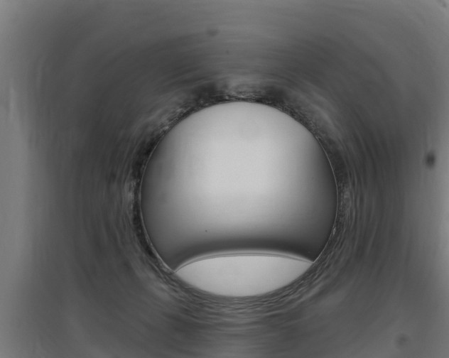 X0000097590271200802290756