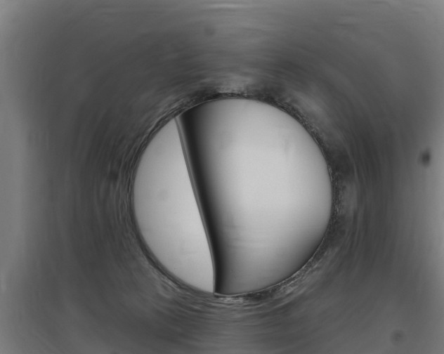 X0000097590273200802290756