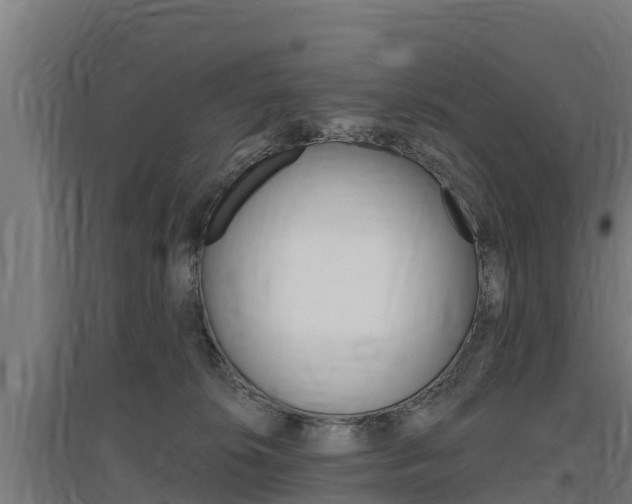 X0000097590276200802290756