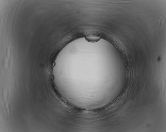 X0000097590277200802290756