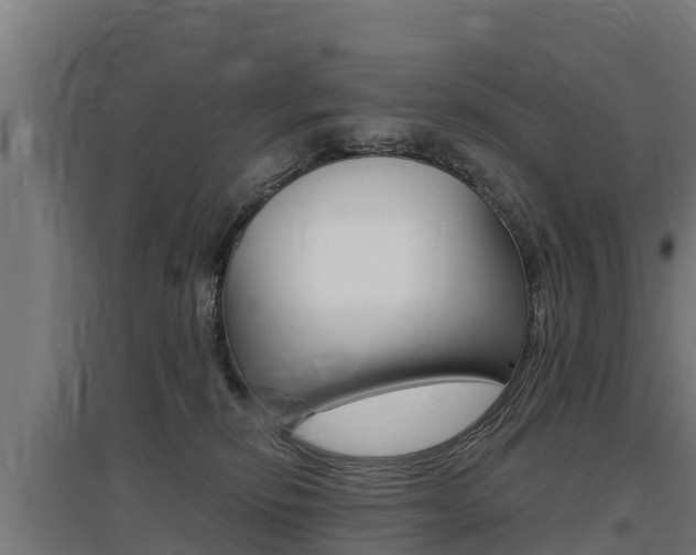 X0000097590278200802290756