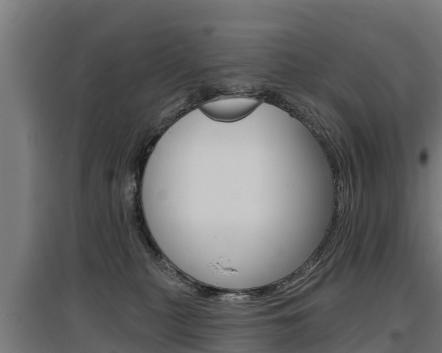 X0000097590279200802290756