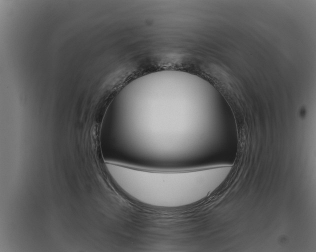 X0000097590280200802290756