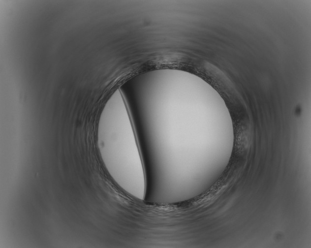 X0000097590282200802290756