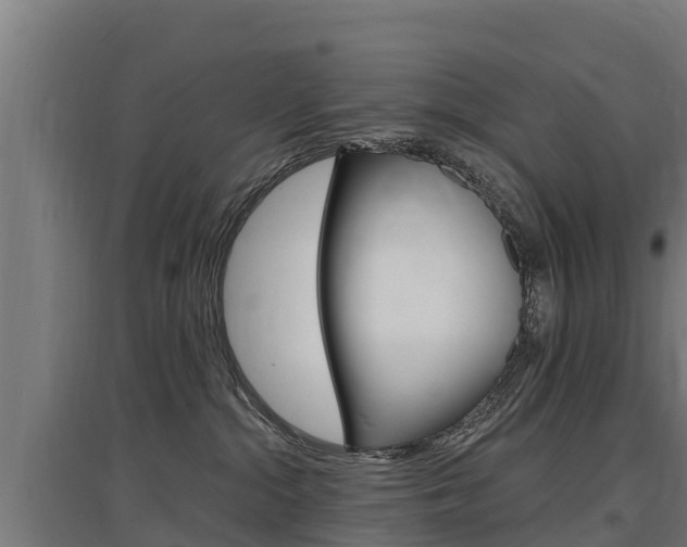 X0000097590284200802290756